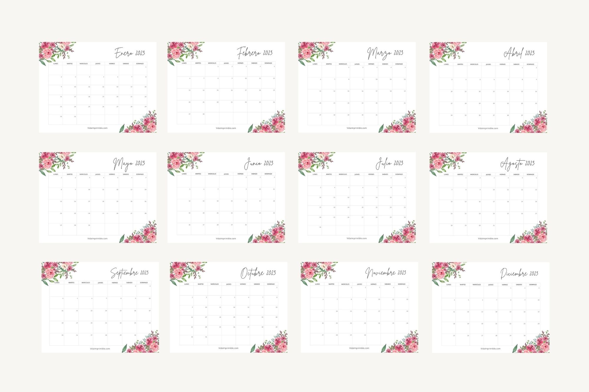 Cute Calendar 2023 Design Flowers | 